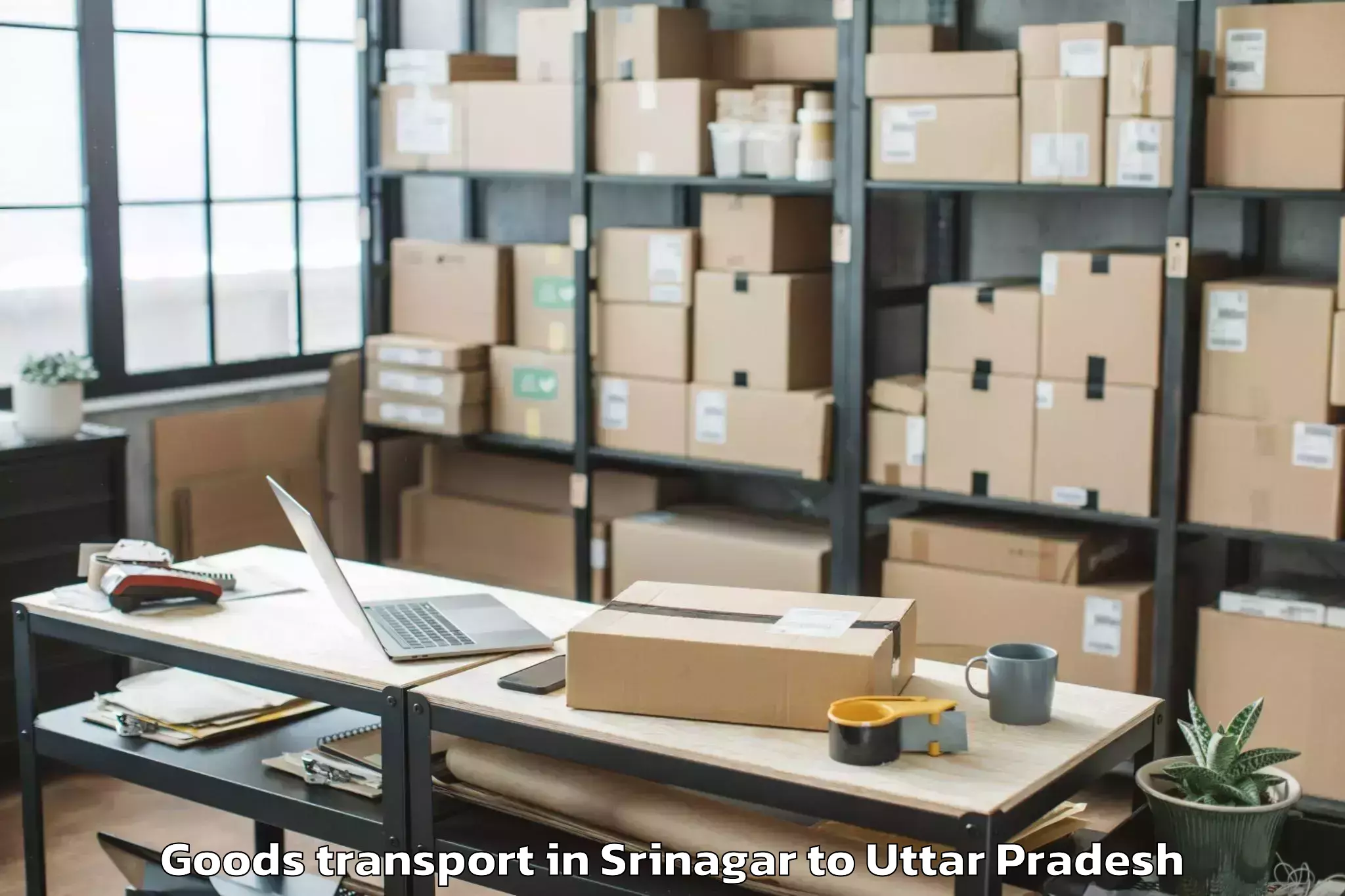 Book Srinagar to Sarai Mir Goods Transport Online